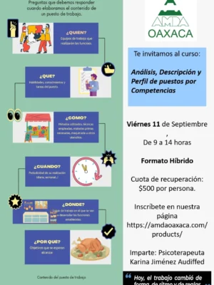Curso: Análisis, Descripción y Perfil de Puestos por Competencias