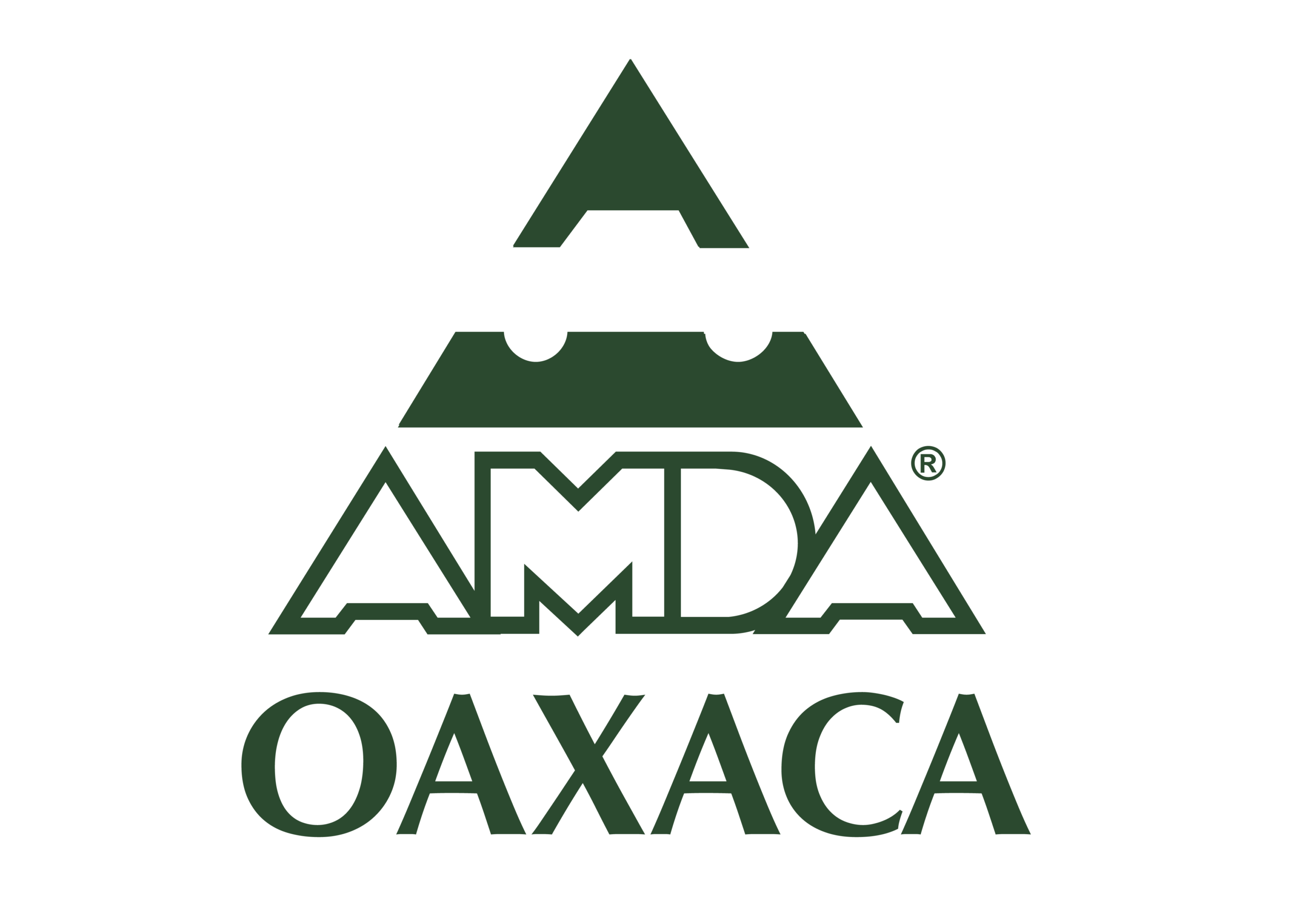 AMDA Oaxaca